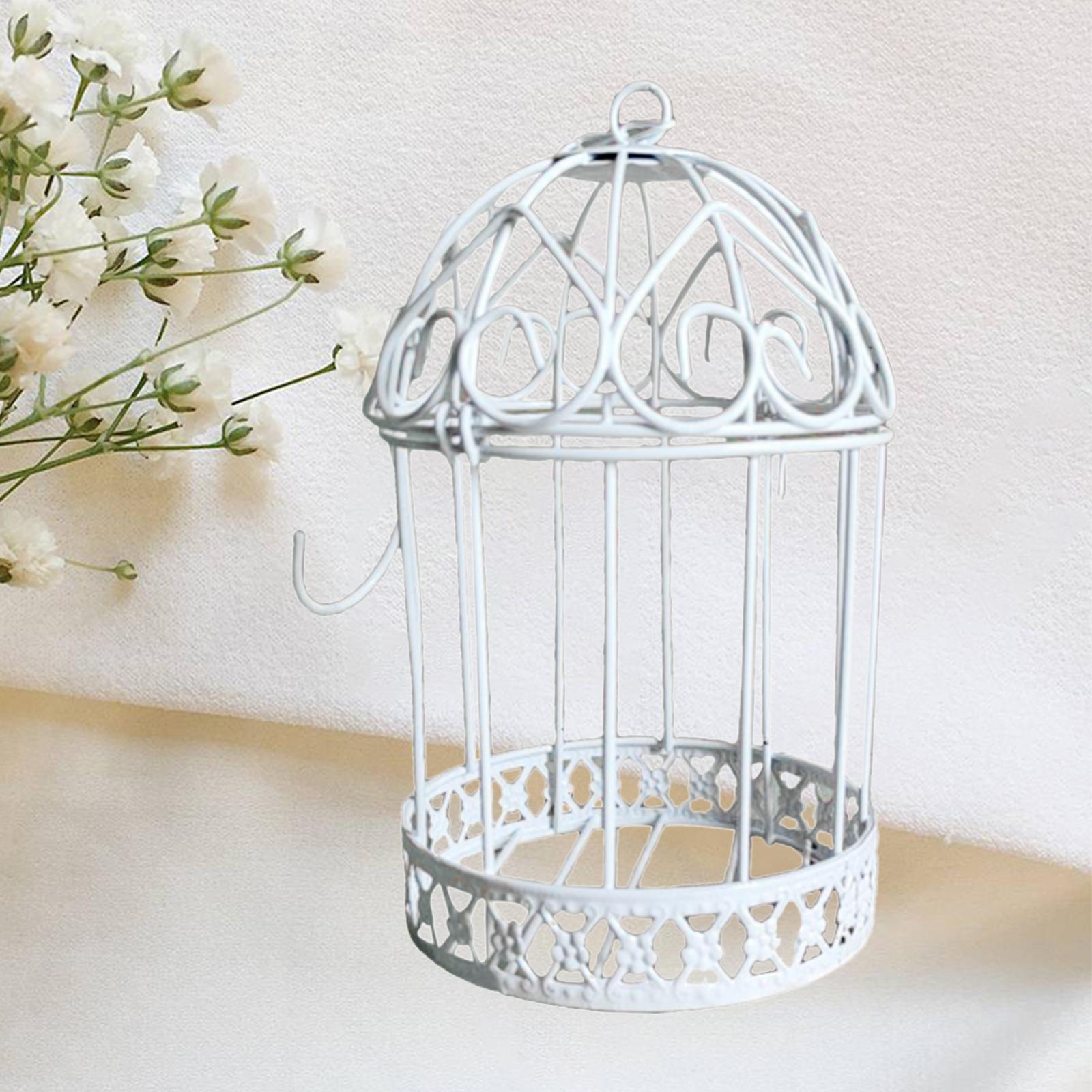 2Pcs Iron Birdcage Frame Wire Succulent Pot Metal Planter Iron Plant Basket