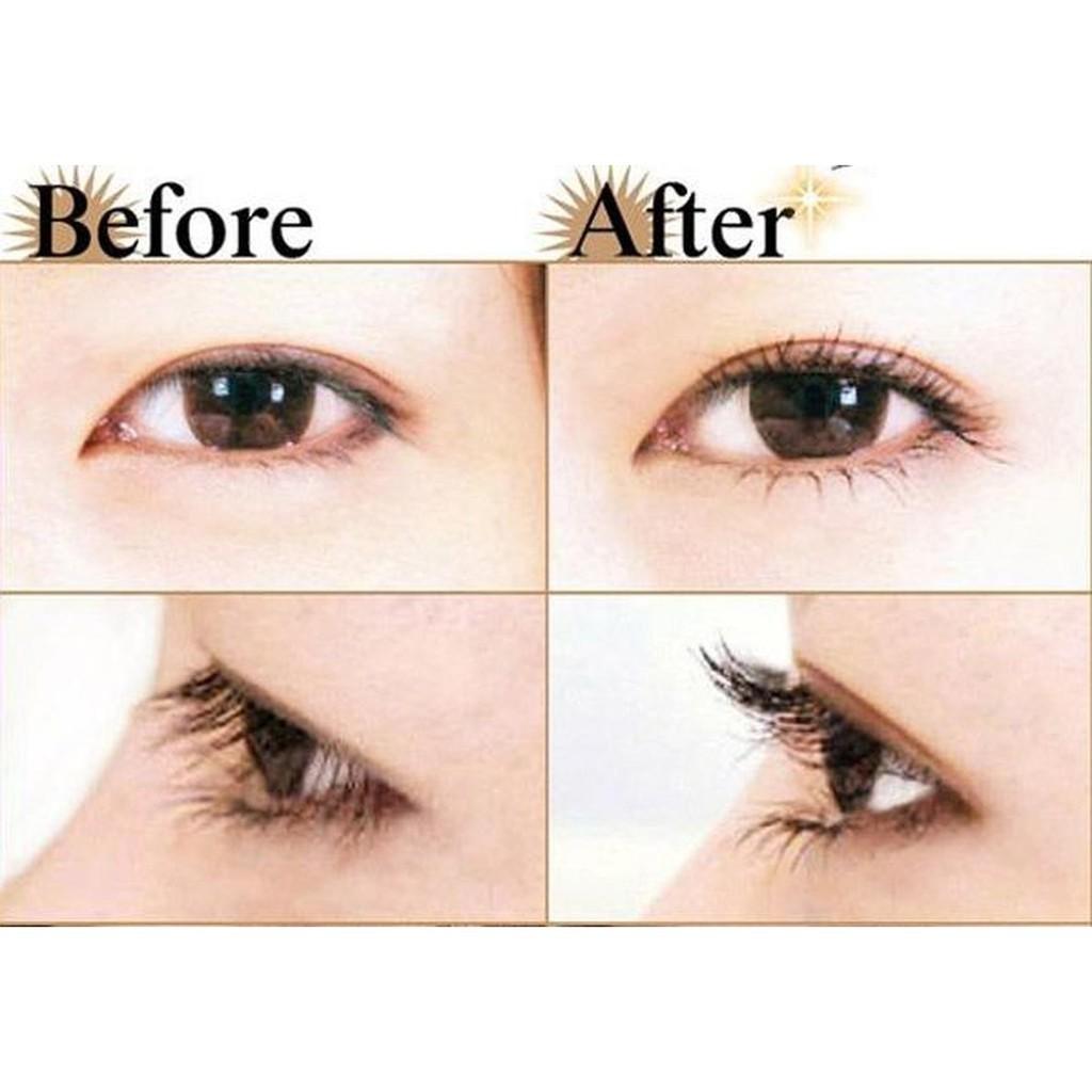 KẸP BẤM MI EYELASH CURLEN HÀNG NỘI ĐỊA TRUNG 2152