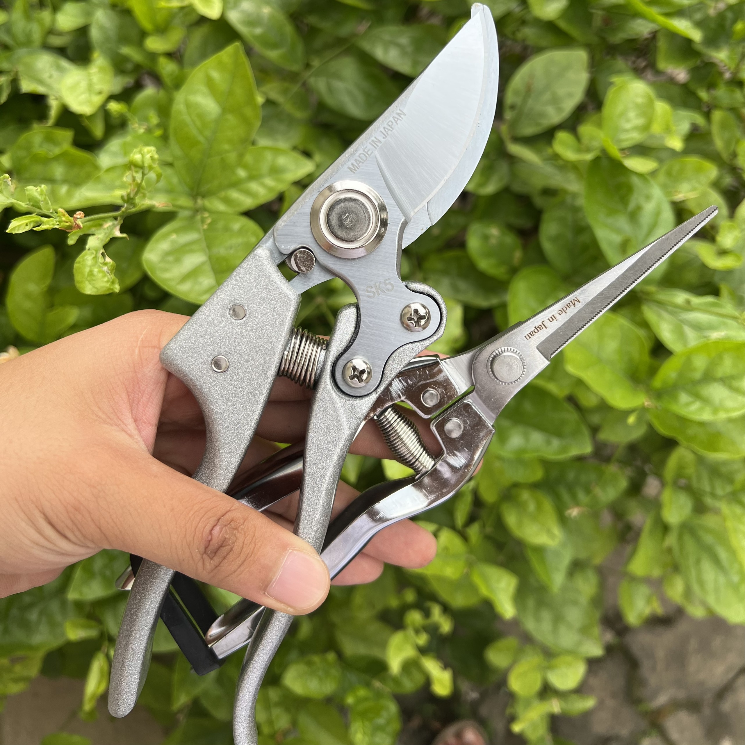 SET Kéo Cắt Cành Cây Cảnh SK5 Nhật Bản + Kéo Dăm Nhật Bản
