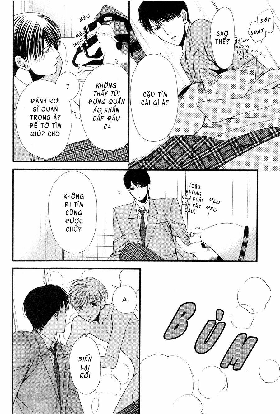 neko neko honey chapter 12 26