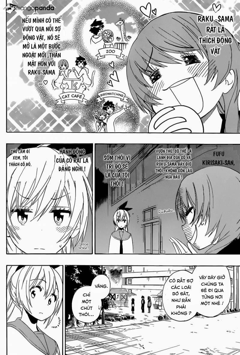 nisekoi - tình yêu giả tạo chapter 142 4