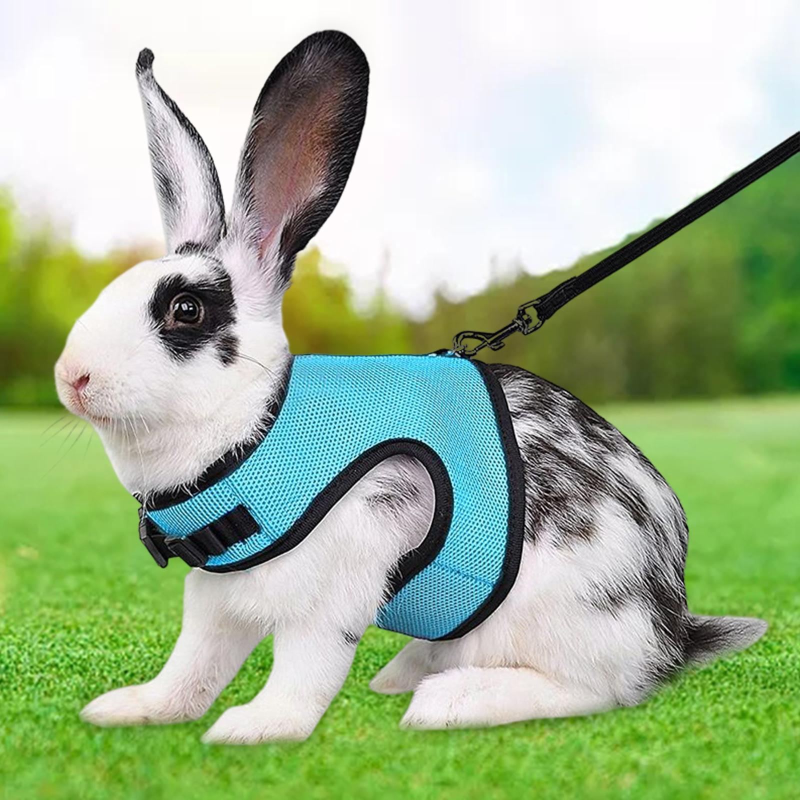Adjustable Rabbit Harness and Leash Set Walking M 18cm-25cm