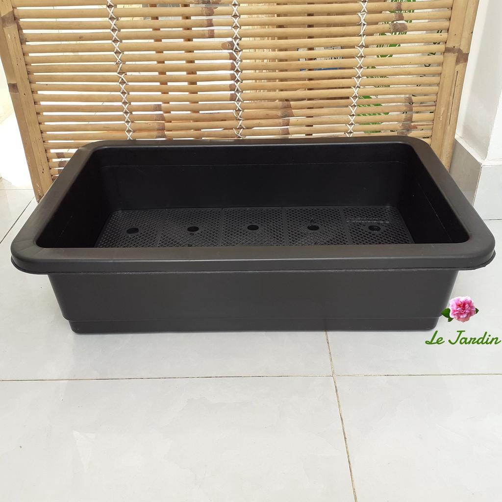 Khay trồng rau thông minh nhựa dày loại tốt 65x42x16cm