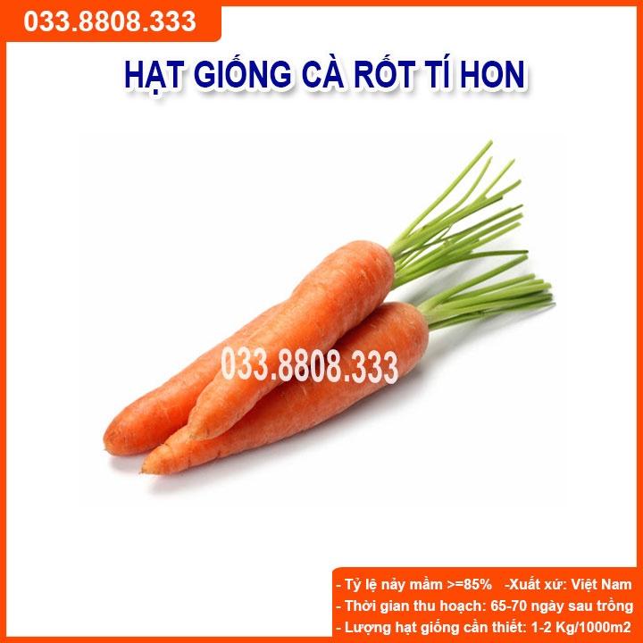 Hạt Giống Củ Cà Rốt Tí Hon - Củ Dài Đặc Ruột