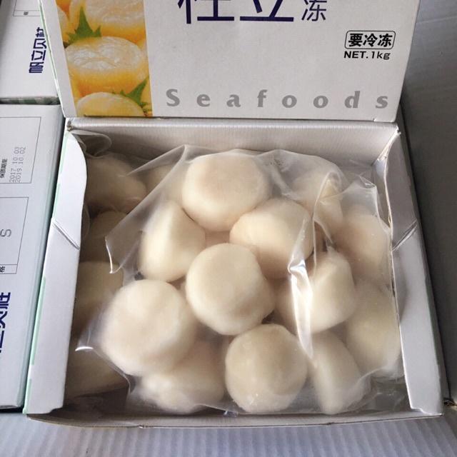 Sò Điệp Sashimi Size 30-35c