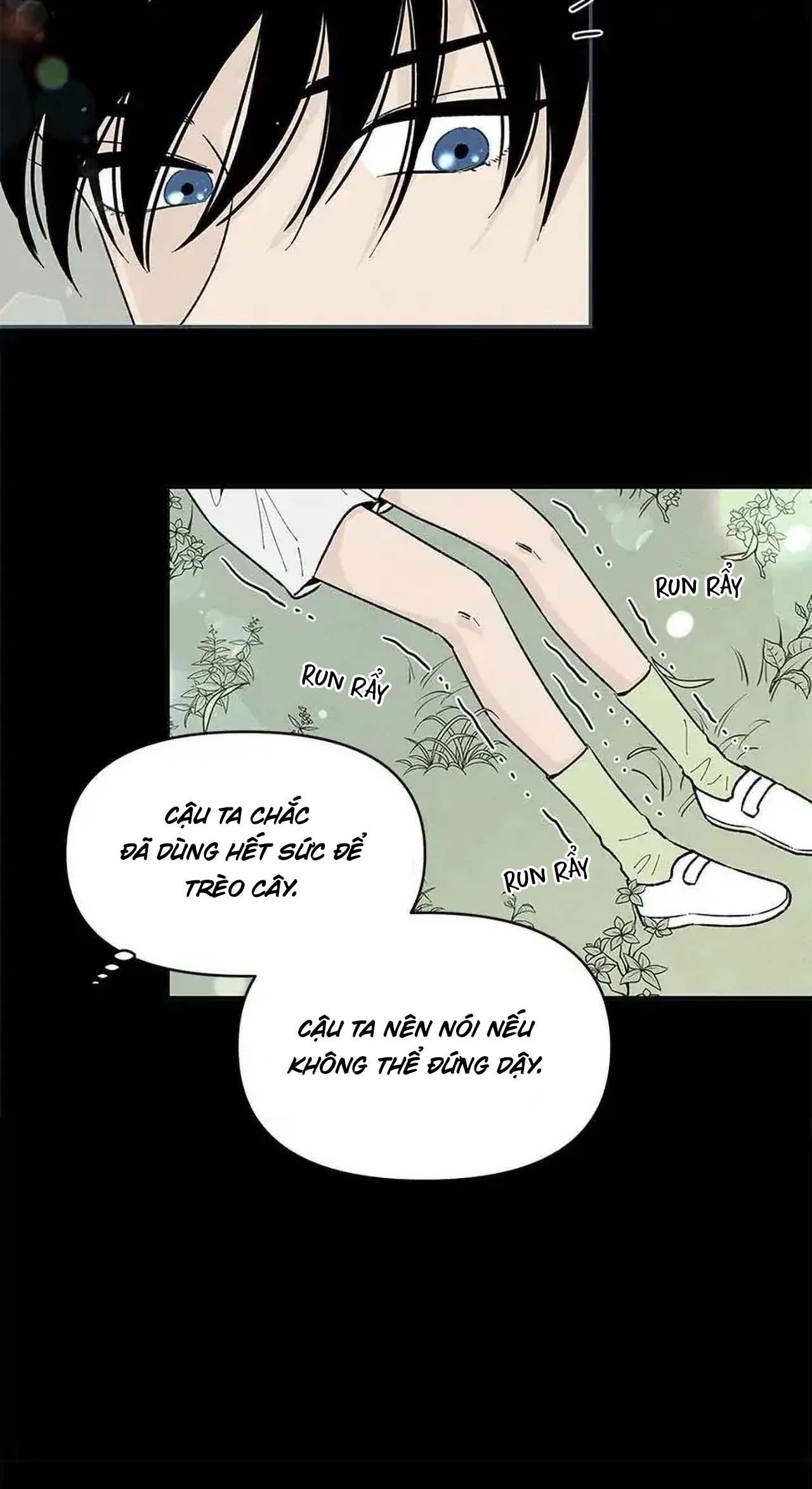 bona sort chapter 53 14