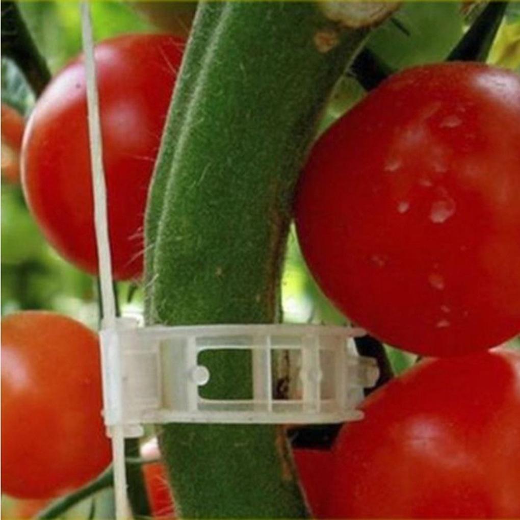 50PCS/Set Reusable Plastic Plant Support Clips Plants Hanging Vine Garden Greenhouse Vegetables Tomatoes Clip【vollter1】