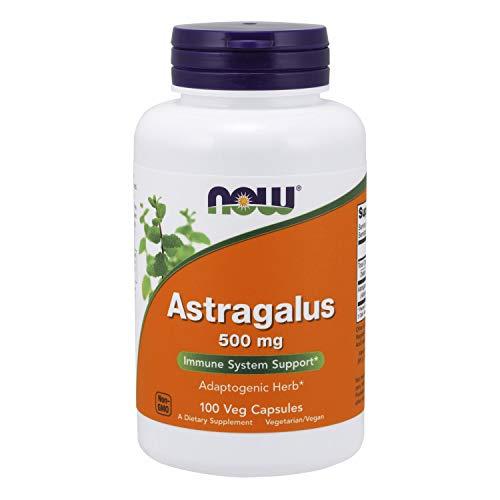 Viên Uống Now Astragalus  500mg