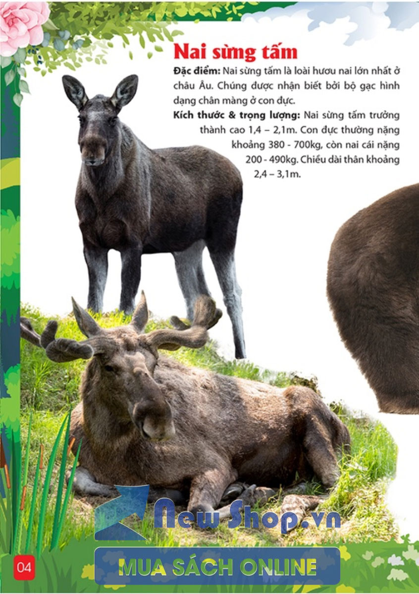 Khám Phá Động Vật 5 Châu - Châu Âu