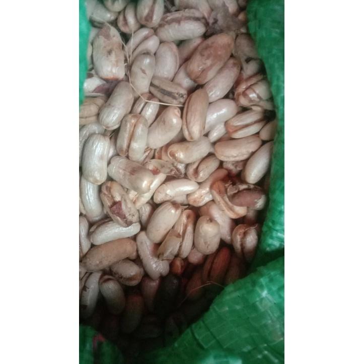 Hạt giống chà là cảnh - chà là kiểng 1kg/gói