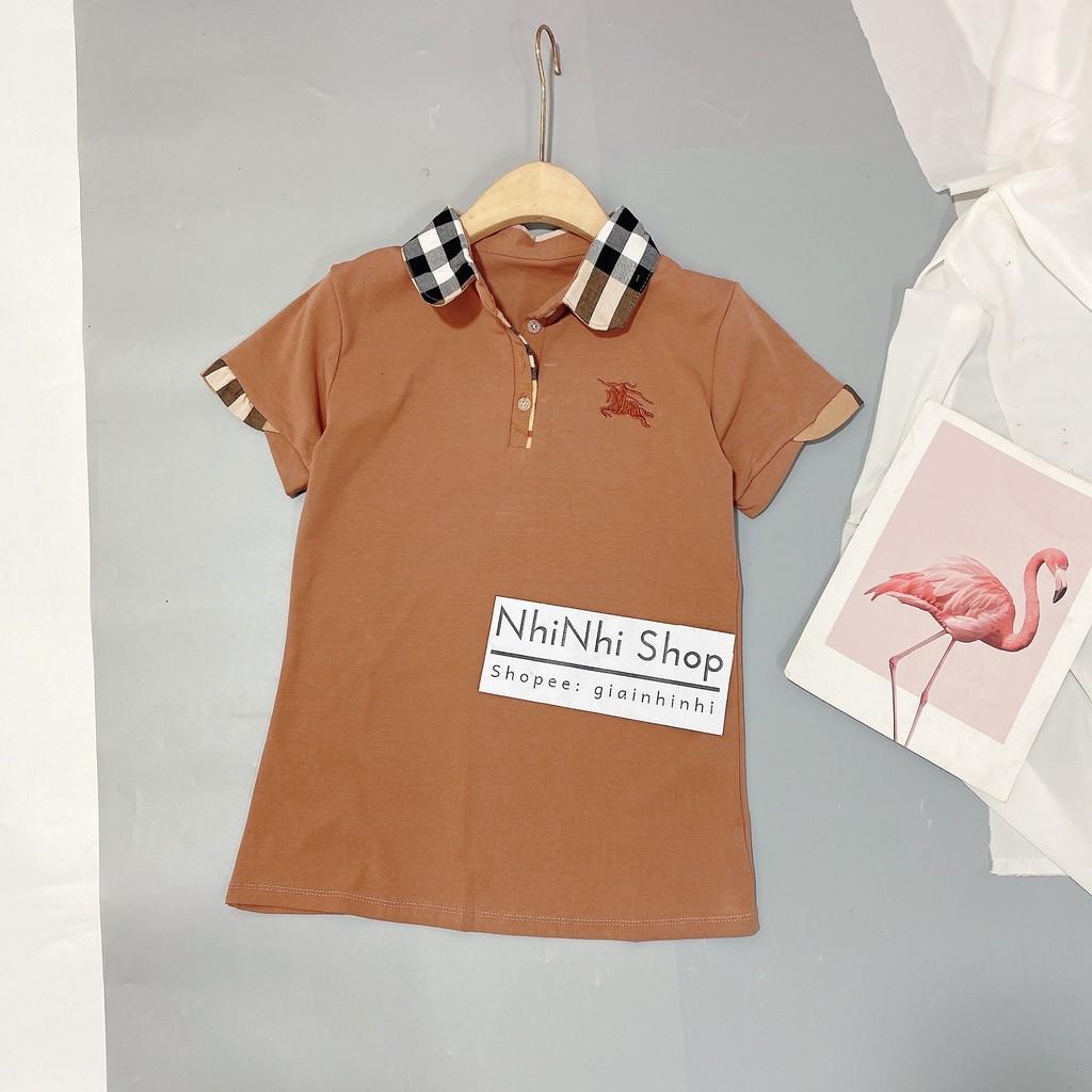 Áo thun cổ bẻ pha kẻ BBR ôm dáng, Áo phông ngắn tay thêu ngựa AS6012 - NhiNhi Shop