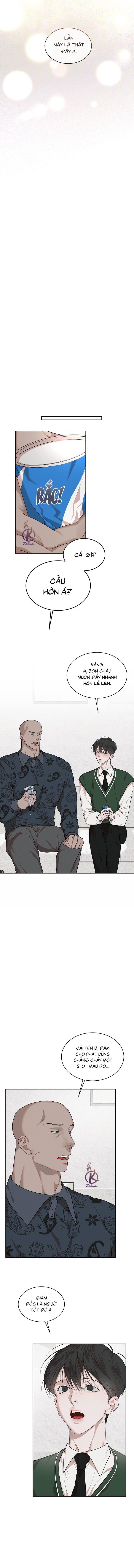 hình thái khởi sinh chapter 74 6