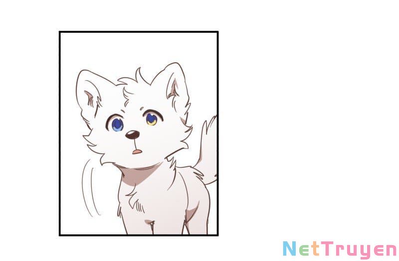 lumine - cội nguồn ánh sáng chapter 73 40