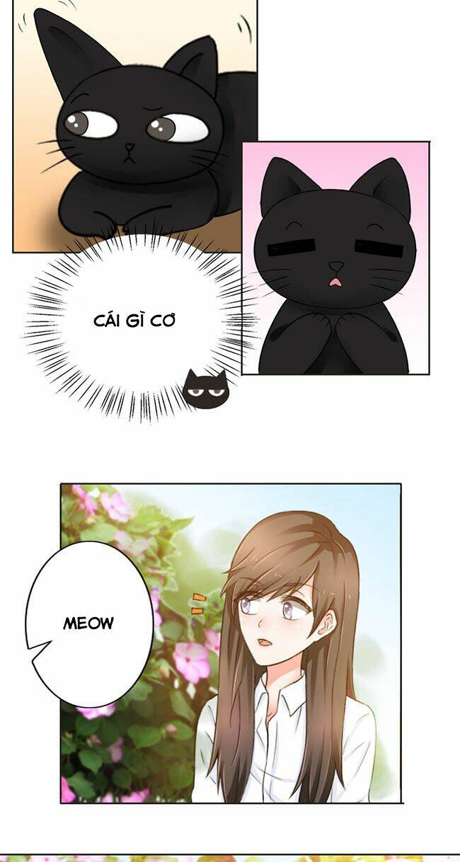 tổng tài ma cà rồng tha cho tôi chapter 23 8