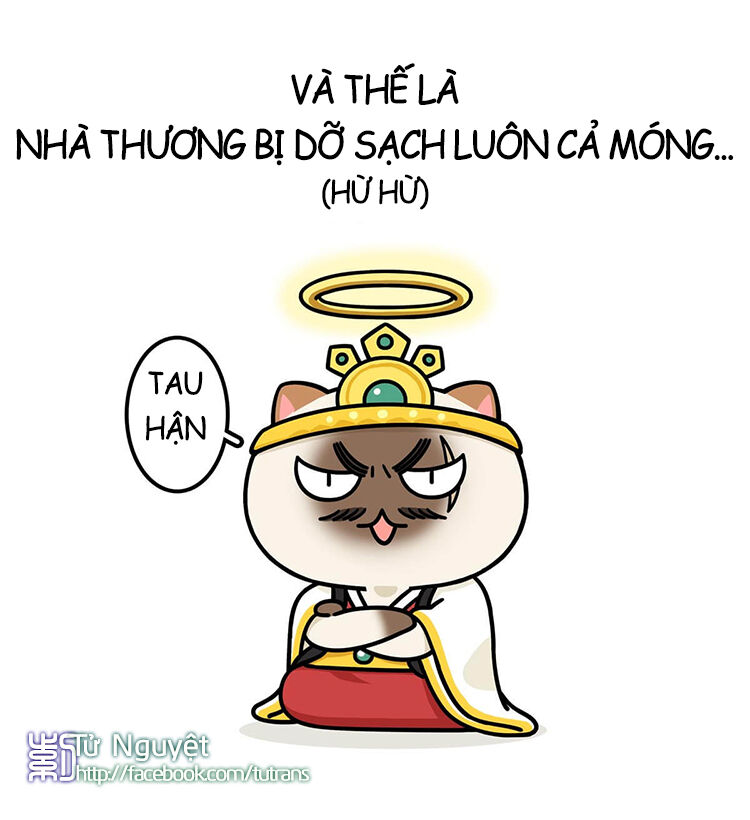 nếu lịch sử là một bầy mèo chapter 10 33