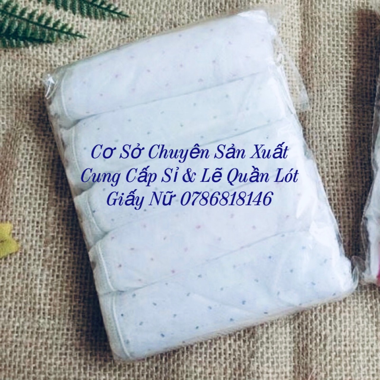 Combo 3 Gói Quần Lót Giấy 1 gói 5 chiếc (MSP: Đáy Cotton - 2lớp đáy)