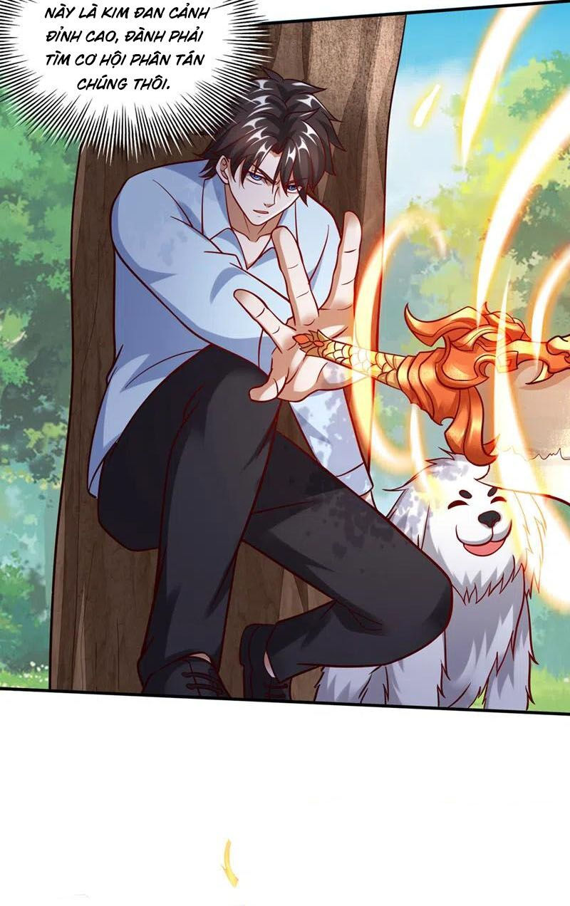 tối cường thần y tại đô thị chapter 247 7