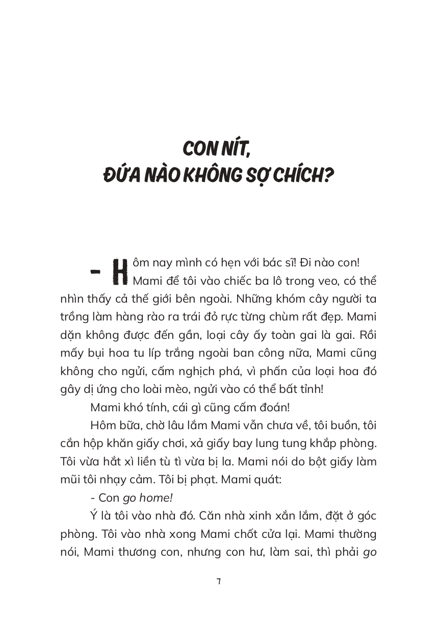 Mùa Hè Có Tuyết