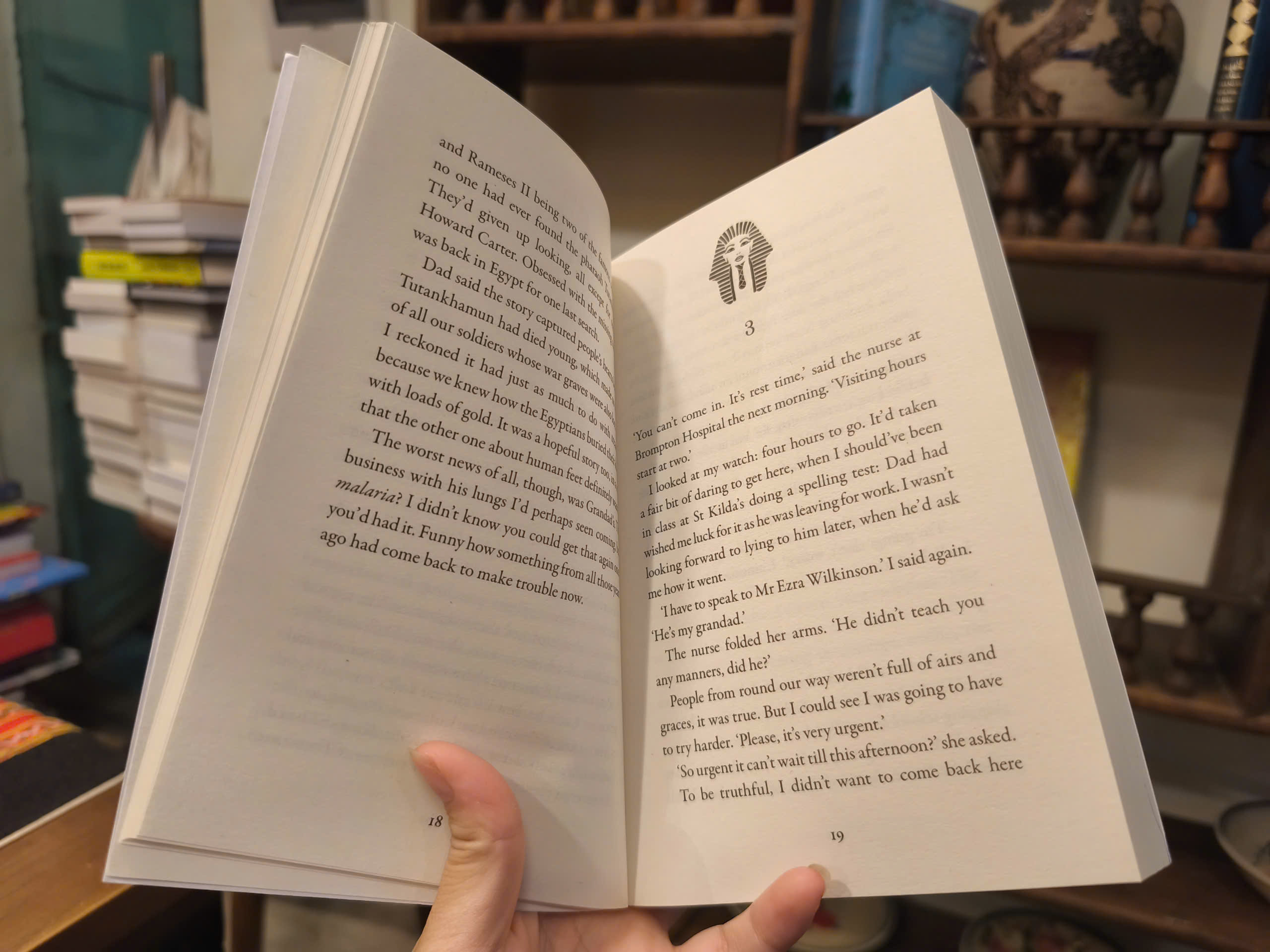 Sách - Secrets of a Sun King by Emma Carroll | Historical Children's Fiction | English Book