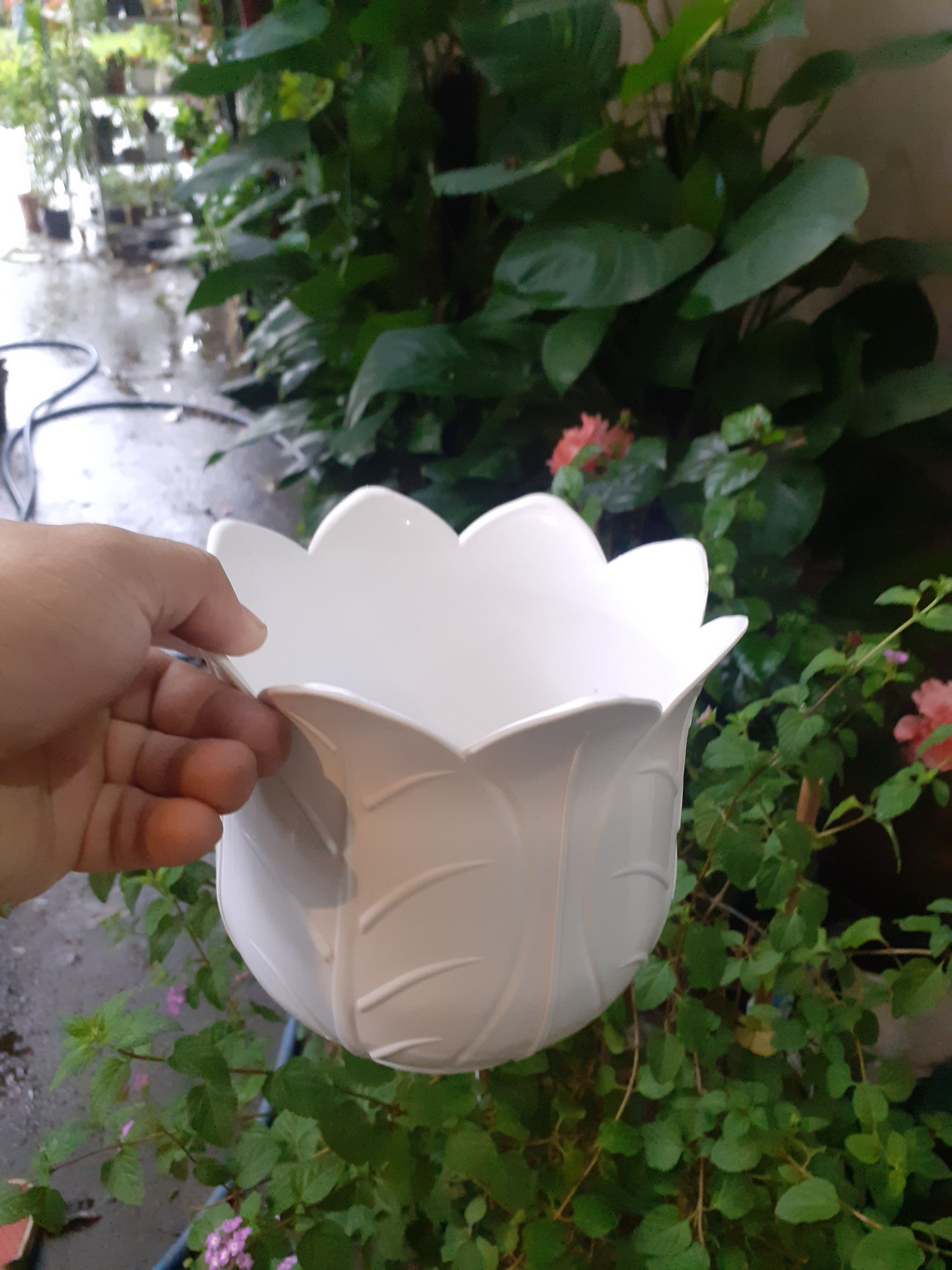 Chậu nhựa trồng cây hình bắp cải dễ thương.