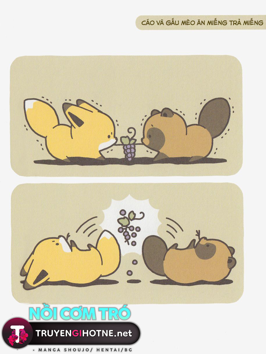 cáo và gấu mèo chapter 6 5