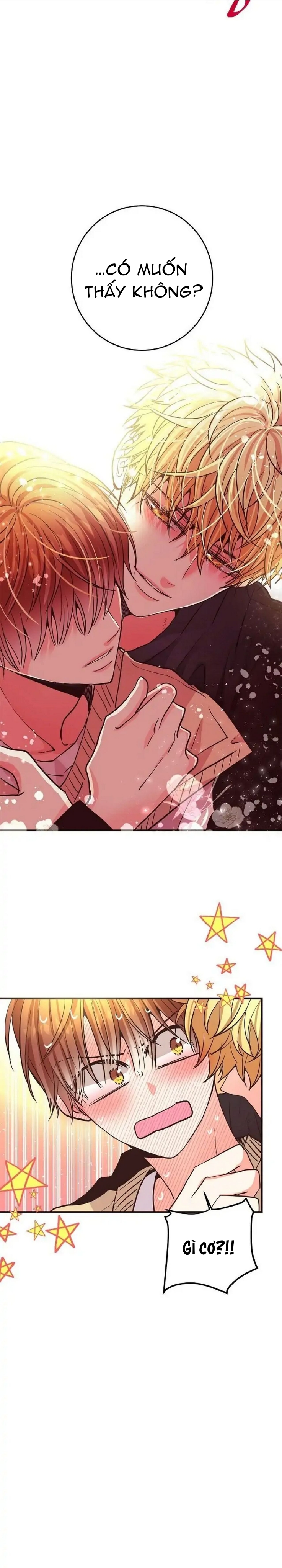 mối quan hệ phù hợp chapter 19 22