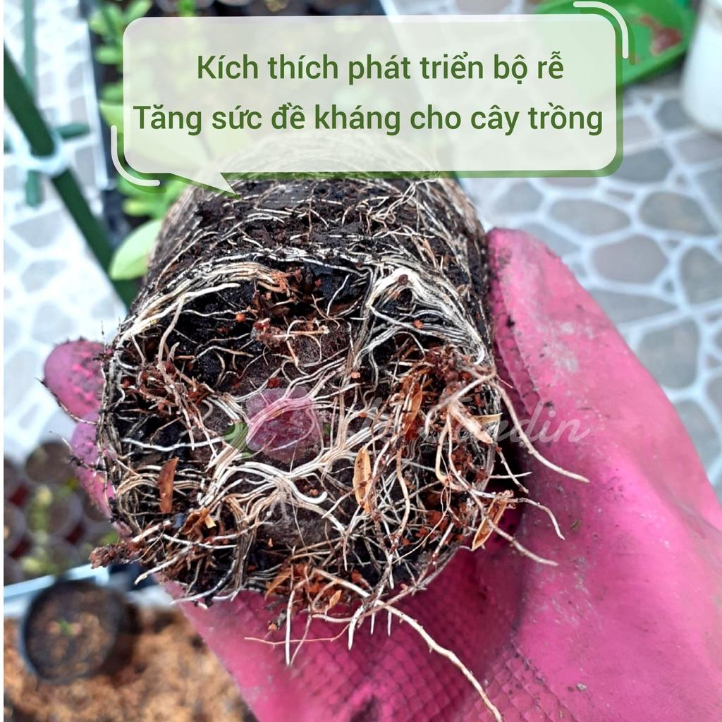 Phân hữu cơ tổng hợp ủ humic dùng kích mầm hoa chai 1L