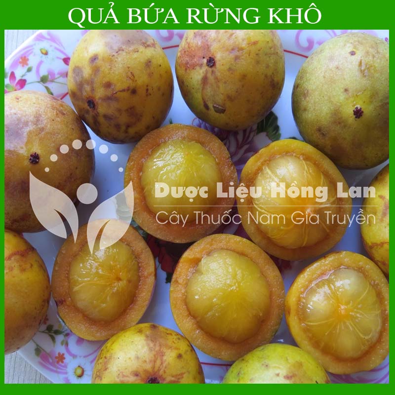 1kg Quả Bứa Rừng khô (Quả măng cụt rừng)