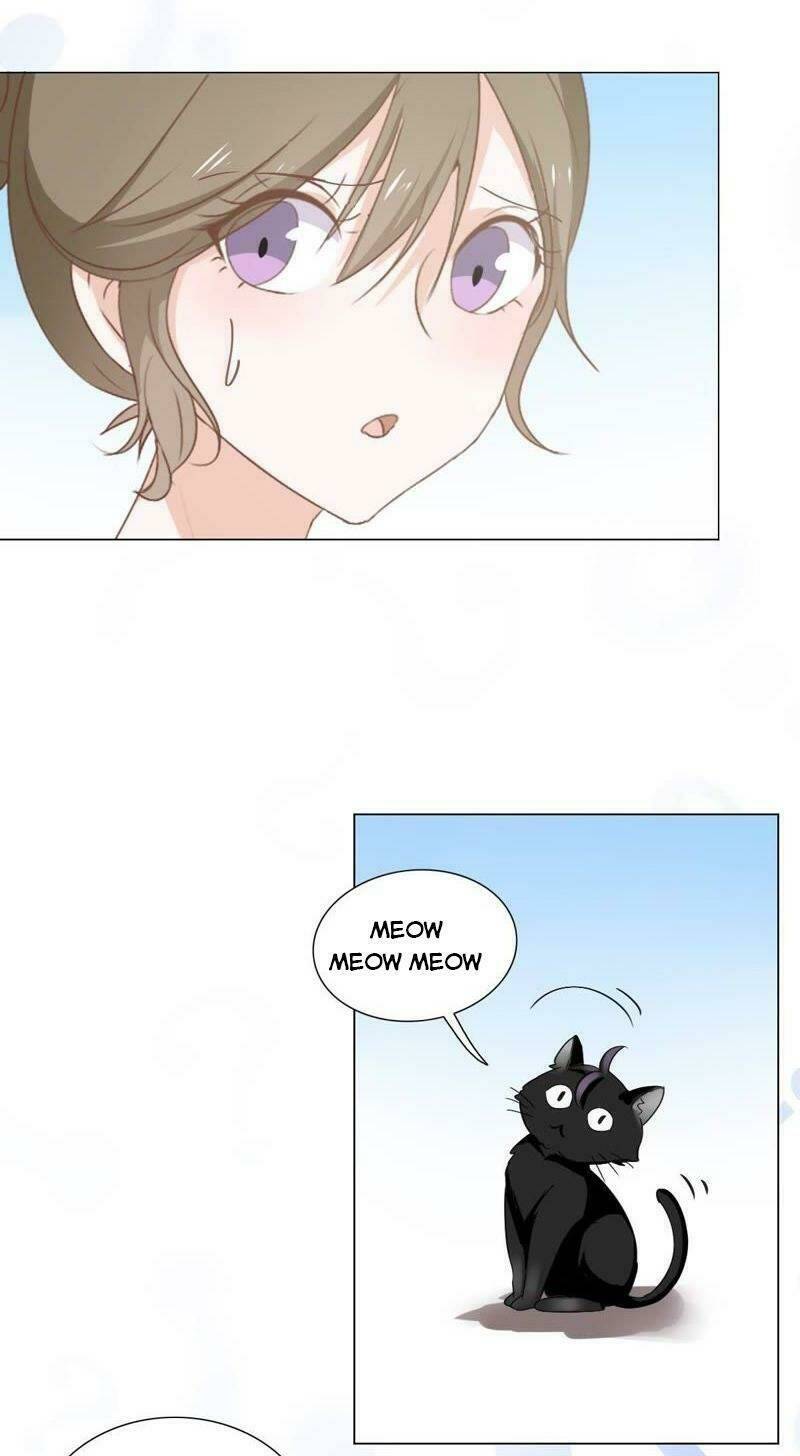 thập nhị hắc miêu chapter 5 20