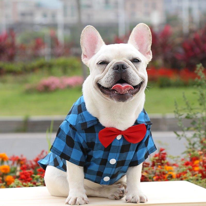 [Có Size 4XL] Áo sơ mi có nơ đi biển cho Chó Mèo , thời trang mùa hè dành cho cún cưng