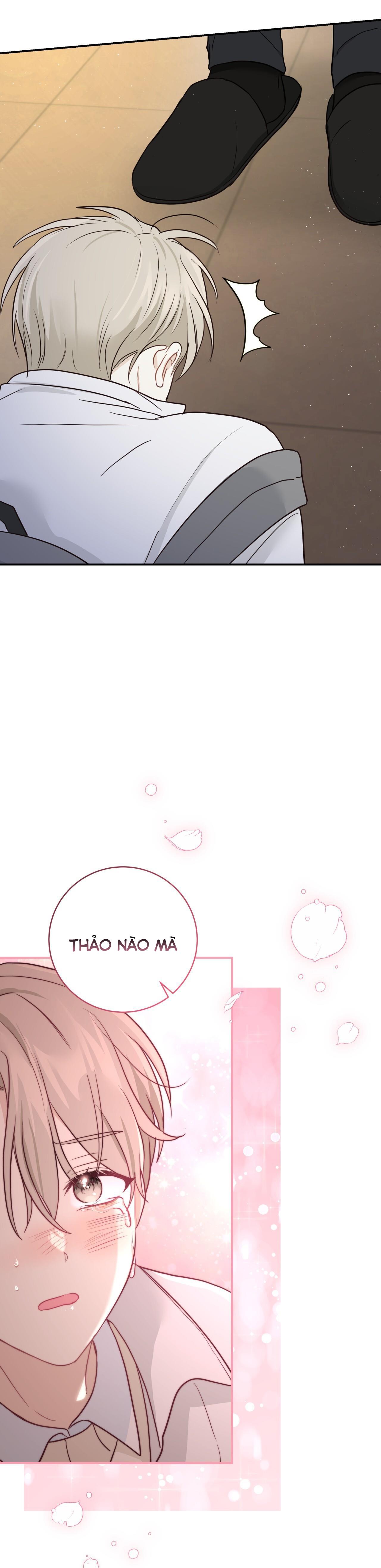 vị ngọt không đường (sweet not sugar) chapter 27 29