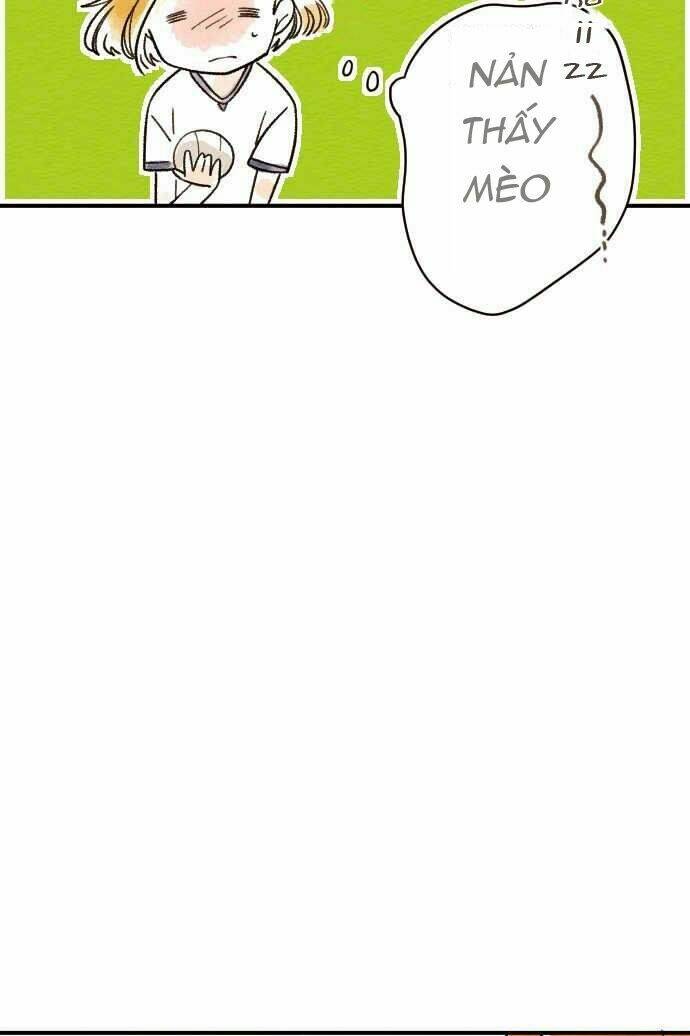 koe koi chapter 6 20