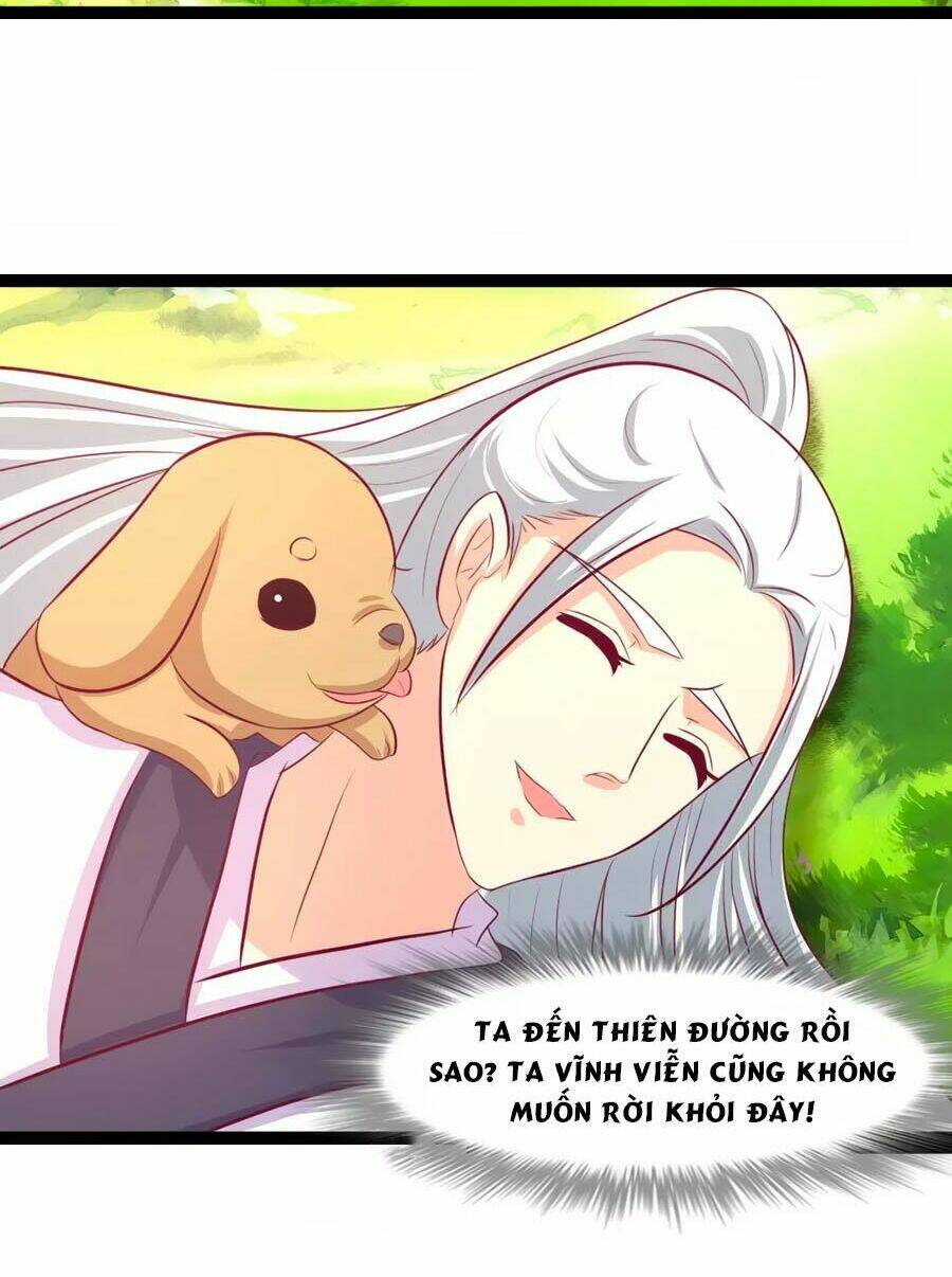 thỏ yêu tiểu vương phi chapter 94 31