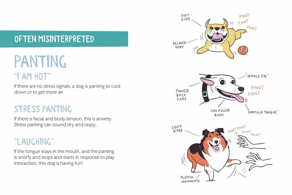 Sách - Doggie Language : A Dog Lover's Guide to Understanding Your Best Friend by Lili Chin