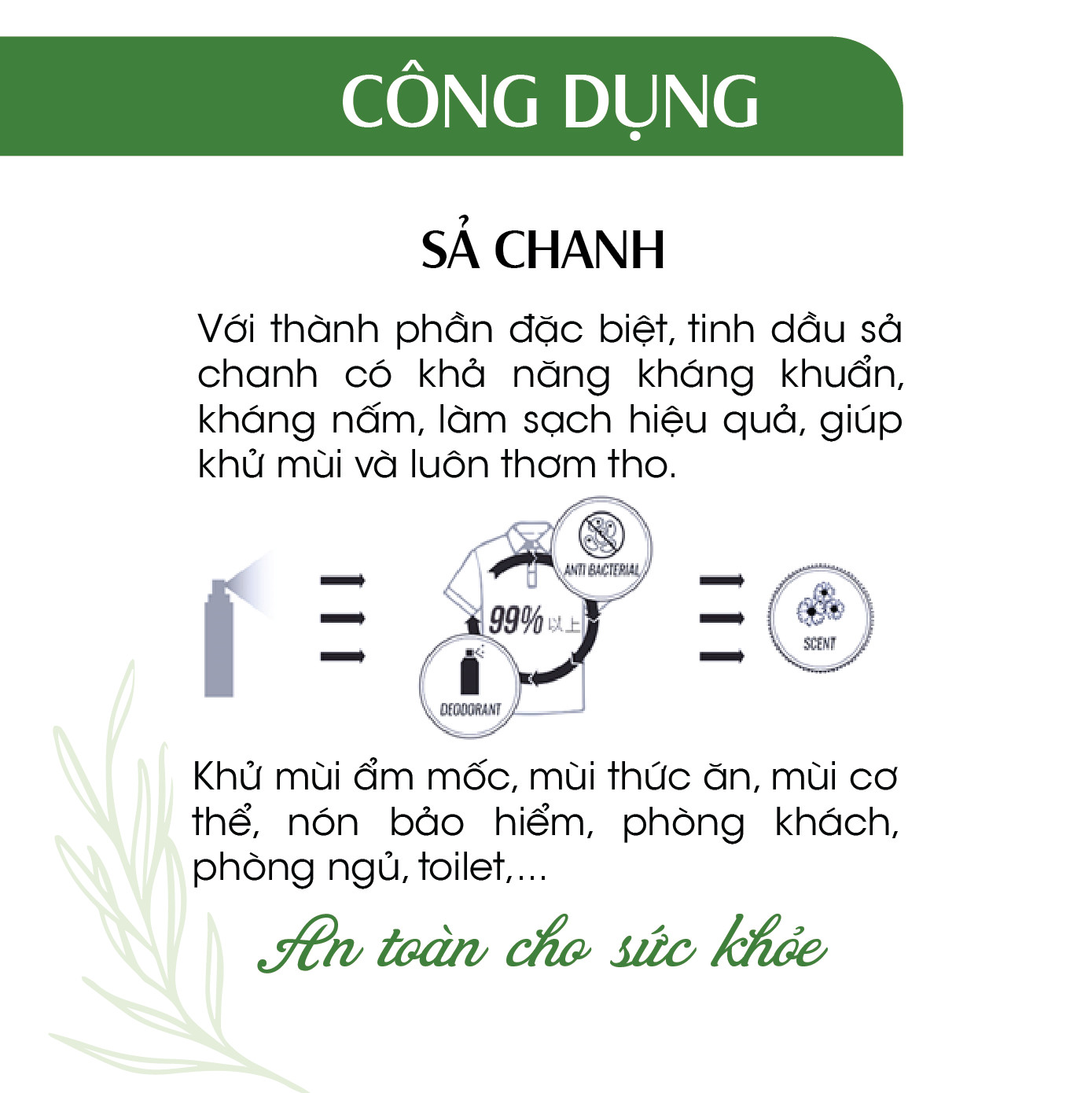 Xịt Phòng Tinh Dầu Sả Chanh Hữu Cơ Organic 24Care 50ML/100ML - Kháng khuẩn - Khử mùi hôi - Đuổi muỗi, kiến ba khoan,Vắt - Côn trùng - Hương thơm thư giãn.