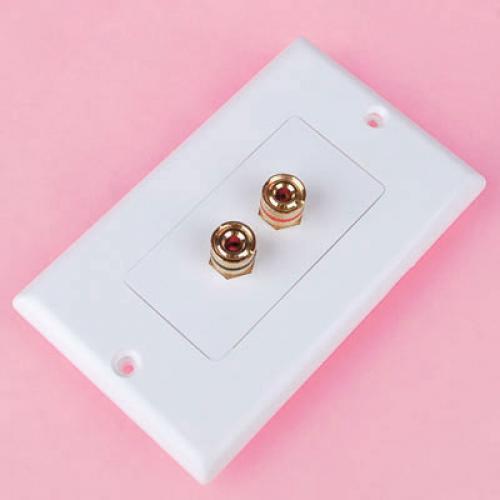 Universal Speaker Cable Wall Plate 2 Banana Plug for Home Audio Video System