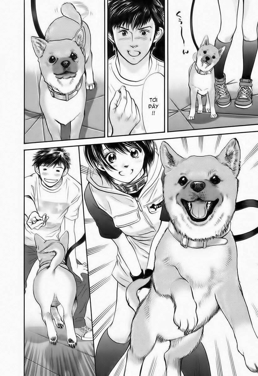 cô nàng yêu chó chapter 36 12