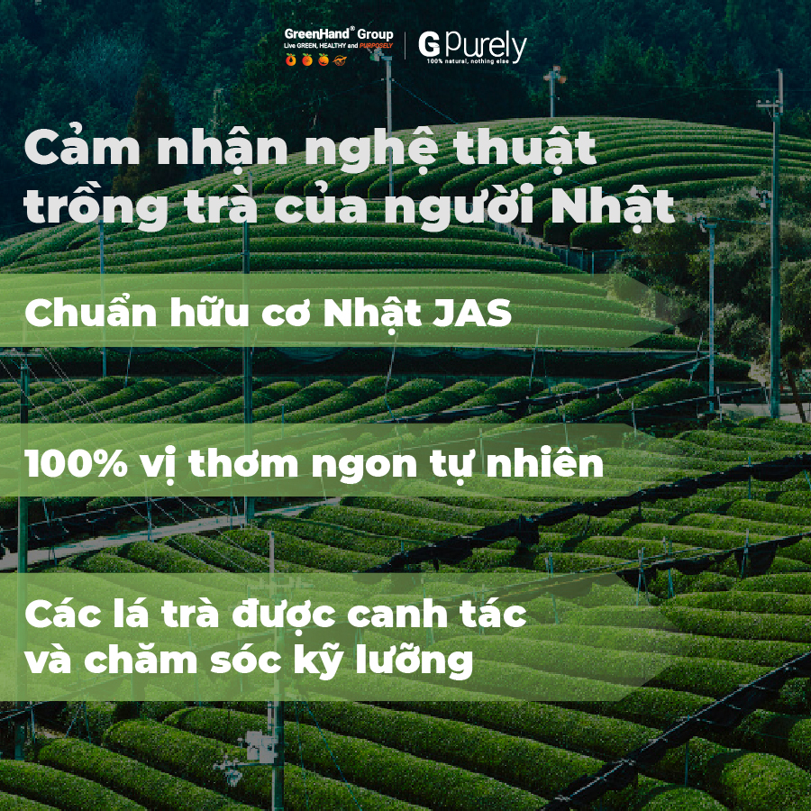 [Nội địa Nhật] Trà rang hữu cơ -  Houjicha GreenHand giúp thư giãn, ngon miệng