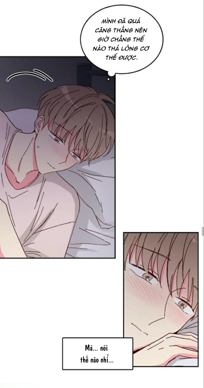 món tráng miệng của sếp tổng chapter 11 18