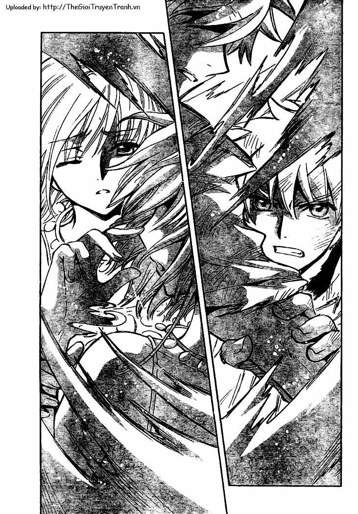 huyền thoại đôi cánh chapter 227 13