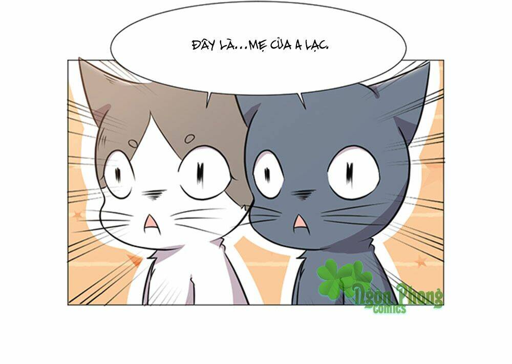 hai chú mèo totem chapter 38 36