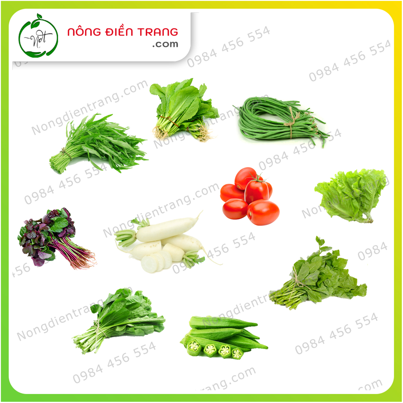 Combo 10 gói hạt giống rau củ quả dễ trồng, phổ biến, siêu tiết kiệm VTNN Nông Điền Trang
