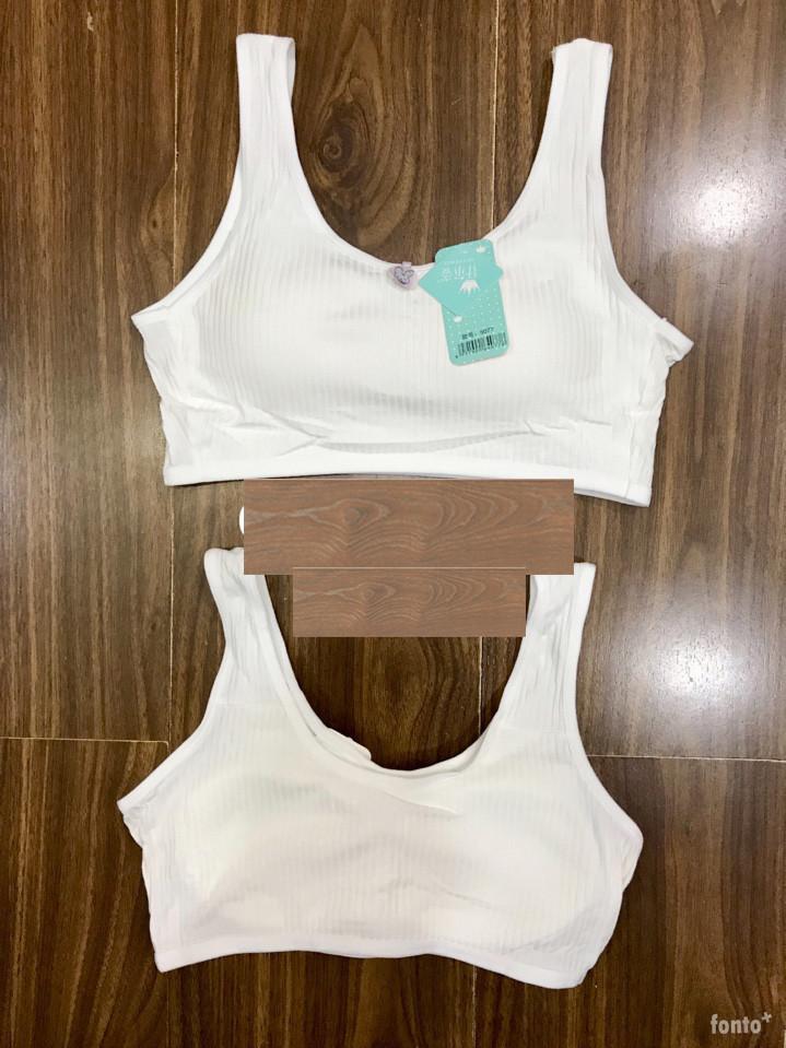 COMBO 2 ÁO LÁ HỌC SINH COTTON SỌC TRẮNG ĐẸP