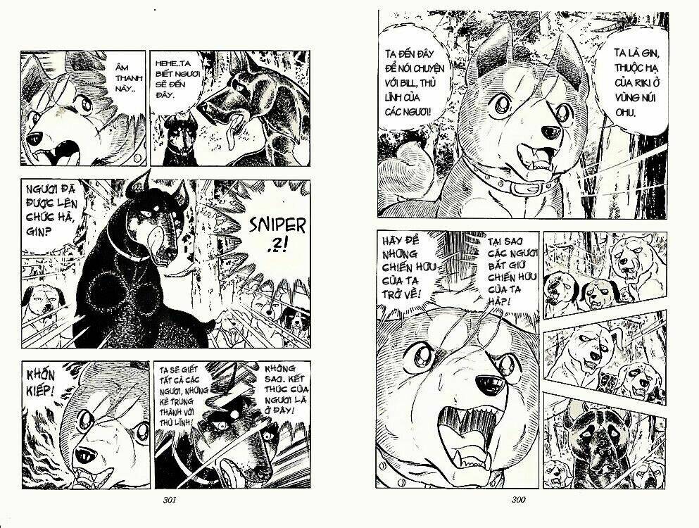 chú chó có nghĩa - ginga nagareboshi gin chapter 23 14