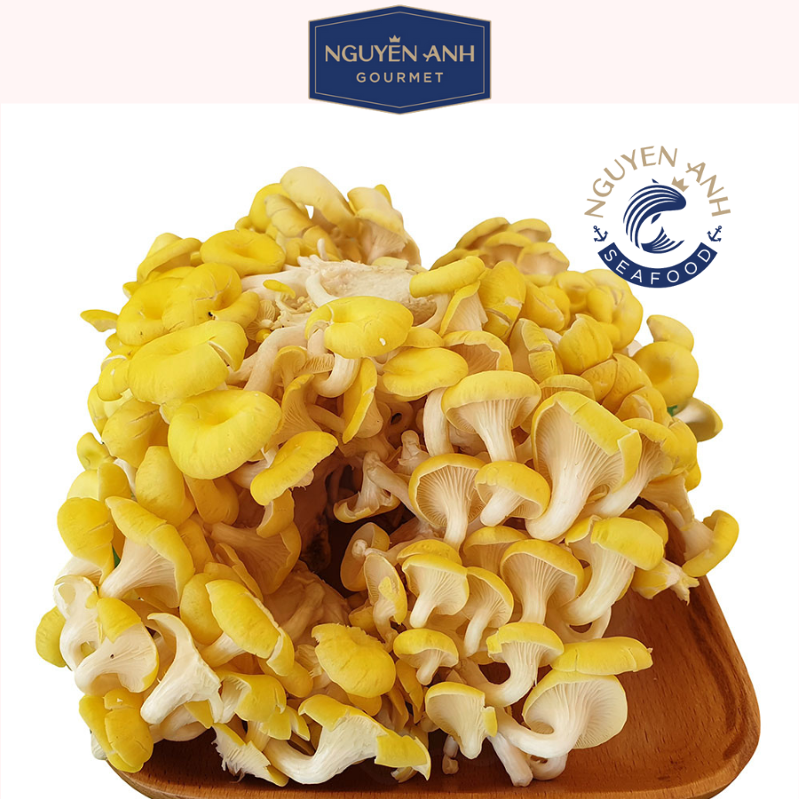 Nấm hoàng kim tươi 200g nông trại Nấm Xanh