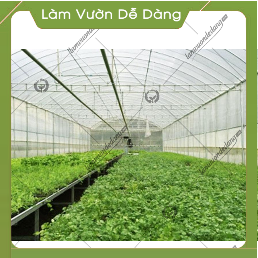 LƯỚI CHẮN CÔN TRÙNG - Dùng che chắn, cản phá các loại côn trùng gây hại cây trồng - Bảo vệ cây - Che chắn bụi bặm