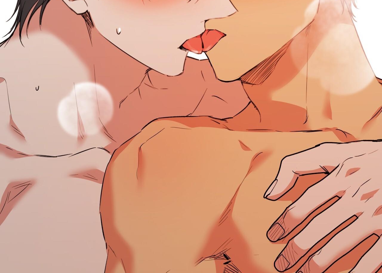 những chú thỏ của hapypy chapter 63 156