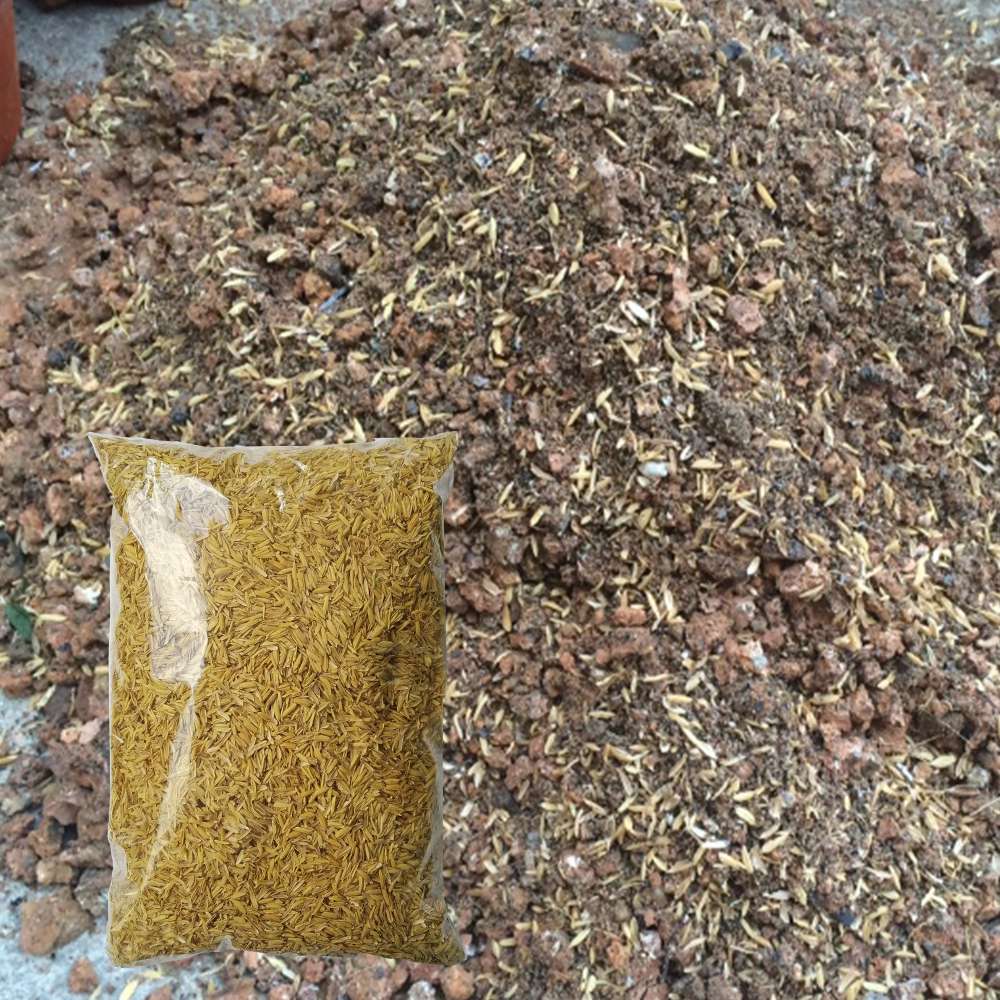 Giá thể trấu sấu trộn đất trồng cây, phủ mát cây