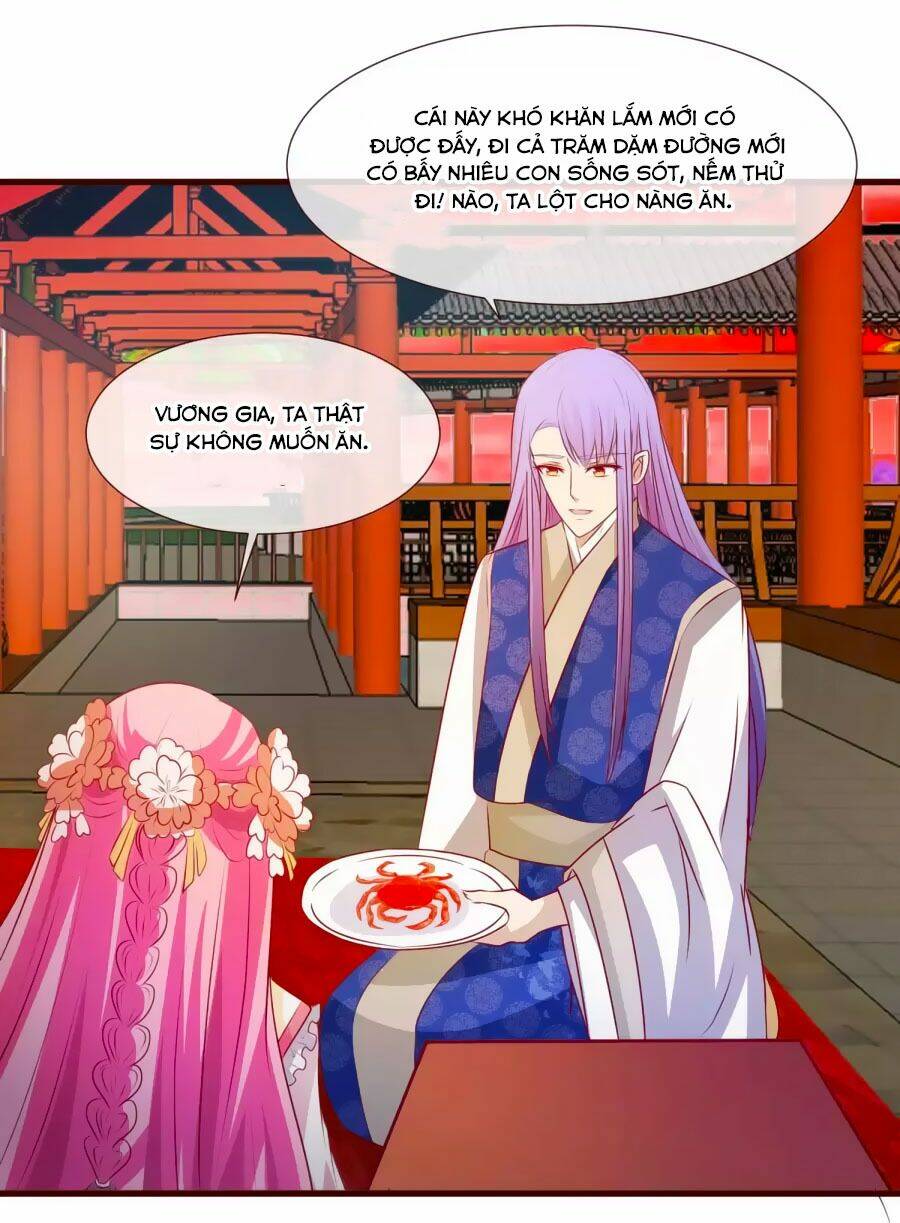 thỏ yêu tiểu vương phi chapter 25 25