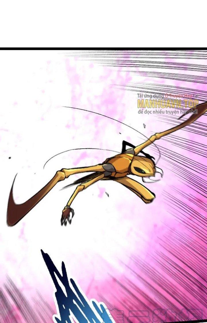 từ cây cổ thụ bắt đầu tiến hóa chapter 40 73